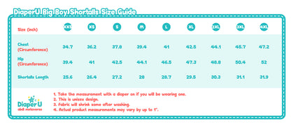 Big Boy Shortalls - Baby Blue Airplane